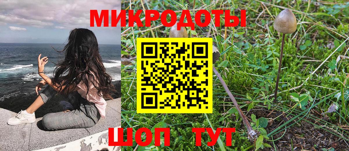 Галлюциногенные грибы Cubensis  наркота  Вход с VPN  Нижнекамск  Галлюциногенные грибы GOLDEN TEACHER 